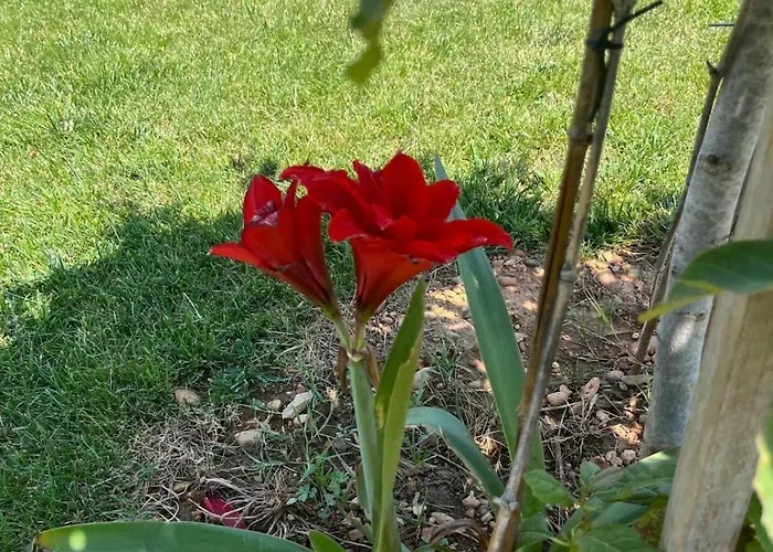 Le Clos Des Galets Вилла